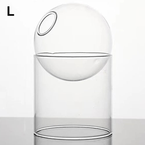 mini vase rond en verre pour décoration hydroponique écologique - vue 19 sur 18