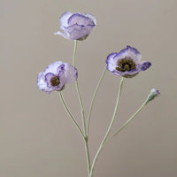 fleurs artificielles de pavot pour décoration mariage jardin et DIY