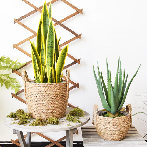 panier de rangement en jonc de mer fait main pour plantes et fleurs - vue 3 sur 9