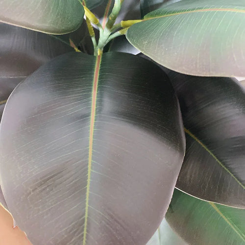 branches artificielles de ficus tropical pour décoration intérieure et extérieure - vue 5 sur 10