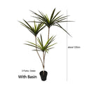 plantes artificielles dracaena pour décoration intérieure tropicale