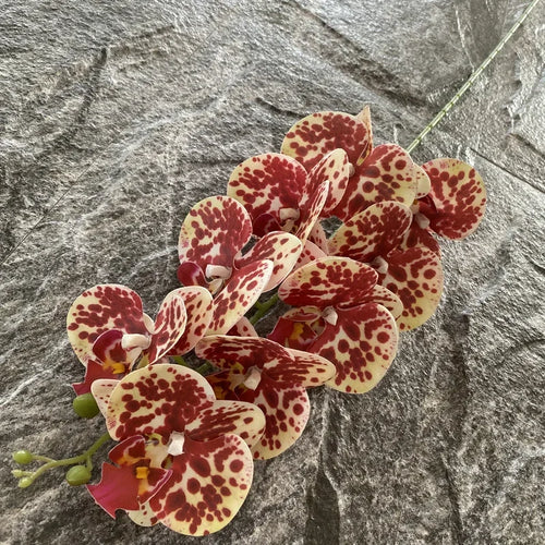phalaenopsis artificiel orchidée décorative pour mariage et jardin - vue 16 sur 23
