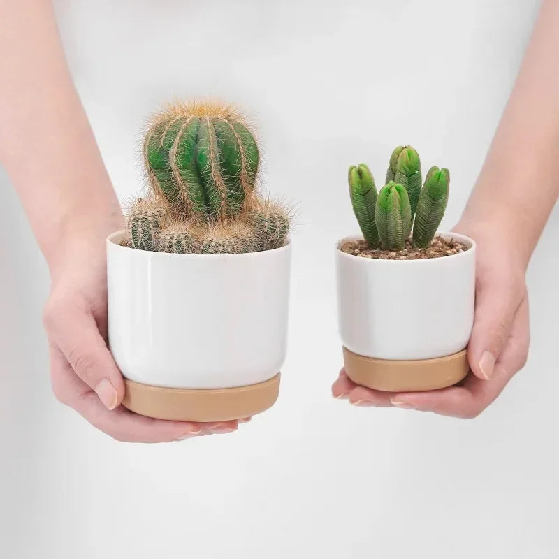 pot rond à double couche pour plantes succulentes - vue 3 sur 10