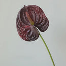 décoration de jardin feuilles artificielles anthuriums pour extérieur