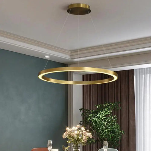 lustre led nordique circulaire pour décoration intérieure luxueuse - vue 4 sur 12