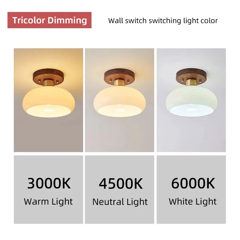 Grass Led Ceiling Lamp for Hallway, Entryway, Kitchen, Foyer Living Room Indoor Lighting white lamps home Decor Lustres fixture - vue 5 sur 7
