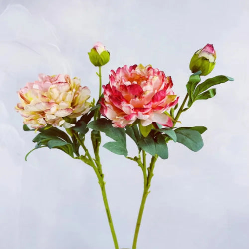fleurs en soie pivoine rétro pour décoration mariage fête accessoires - vue 3 sur 15