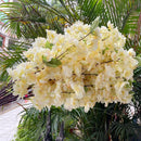 branche de fleur de cerisier artificielle pour décoration douce