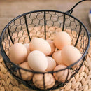panier à œufs en métal pour rangement de cuisine et support pratique