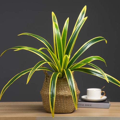 plantes artificielles grandes feuilles orchidées pour décoration intérieure - vue 6 sur 9