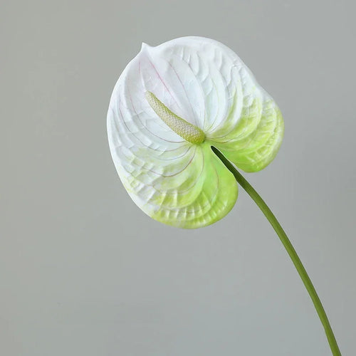 décoration de jardin feuilles artificielles anthuriums pour extérieur - vue 10 sur 10