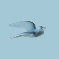 décoration murale créative mouette oiseau pour intérieur