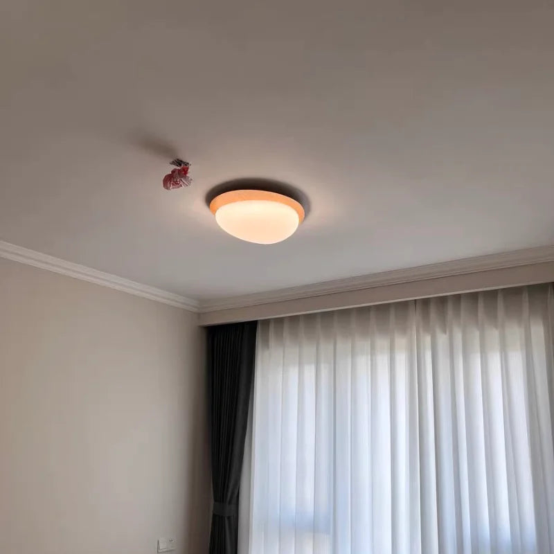 Moderne rétro bois couleur plafonnier chambre Restaurant cuisine étude pavé décoration lumière balcon Led éclairage intérieur - vue 4 sur 8