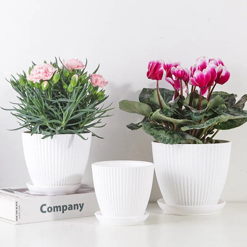 pot de fleurs rond pour succulentes avec plateau décoratif extérieur - vue 2 sur 10