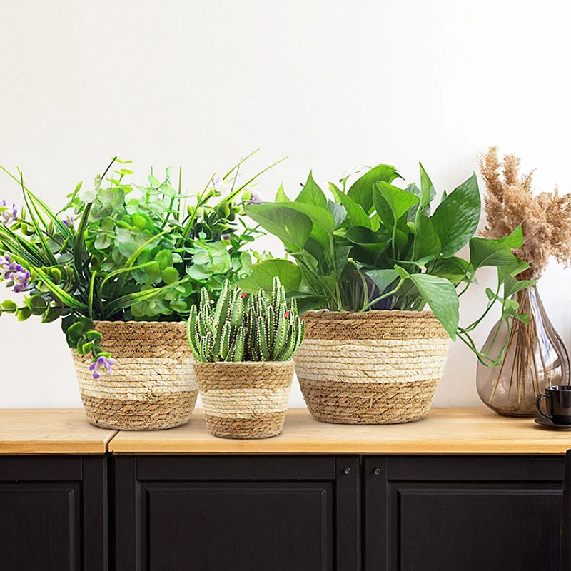 pot de fleurs tissé en seagras fait main pour plantes décoratives - vue 8 sur 8
