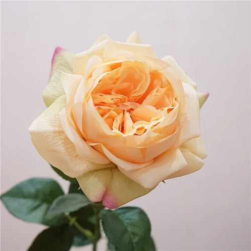 branche de rose artificielle pour un cadeau romantique et décoratif - vue 13 sur 12