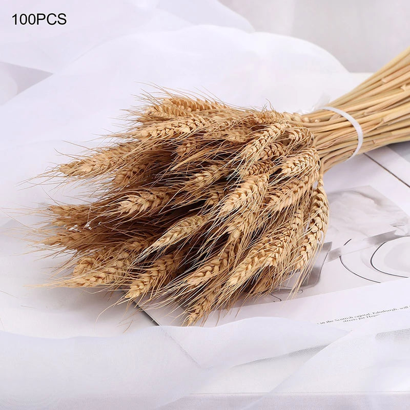 tiges de blé séchées naturelles pour décoration de fête et bouquet - vue 4 sur 6