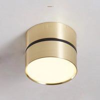plafonnier led design nordique moderne dimmable pour intérieur