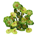 plantes artificielles pour décoration murale et jardin