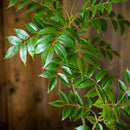 plantes artificielles pour décoration intérieure et extérieure