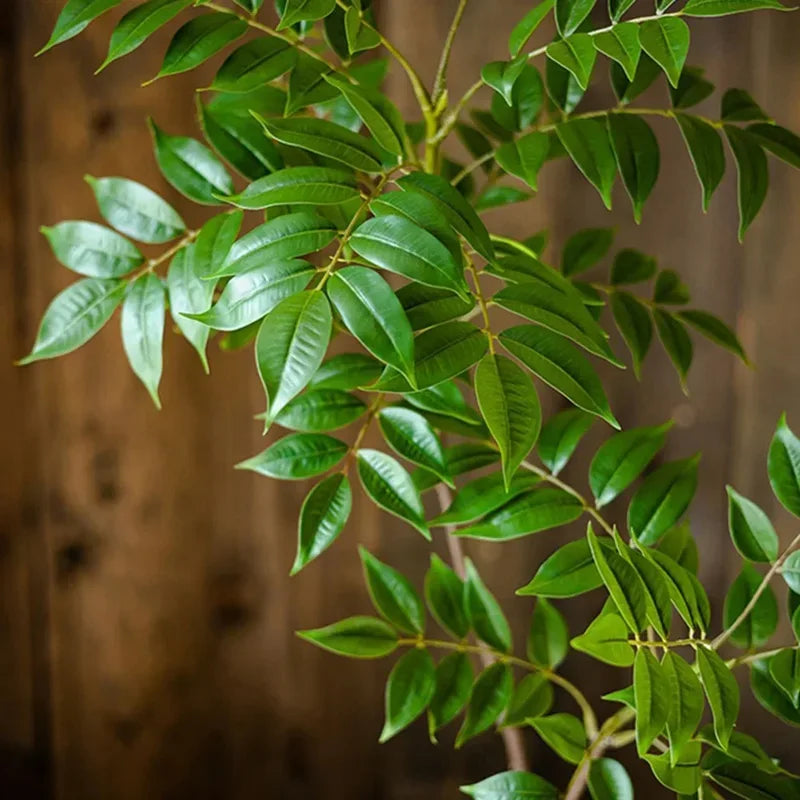 plantes artificielles pour décoration intérieure et extérieure - vue 5 sur 10