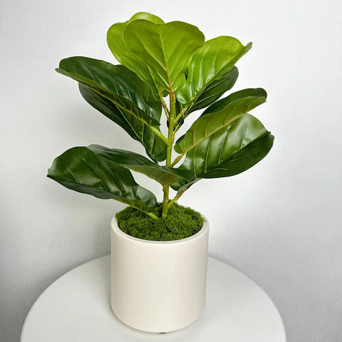 pot décoratif nordique en plastique et céramique pour intérieur - vue 5 sur 10