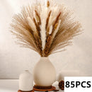 bouquet dherbe de pampa naturelle pour décoration et cadeaux