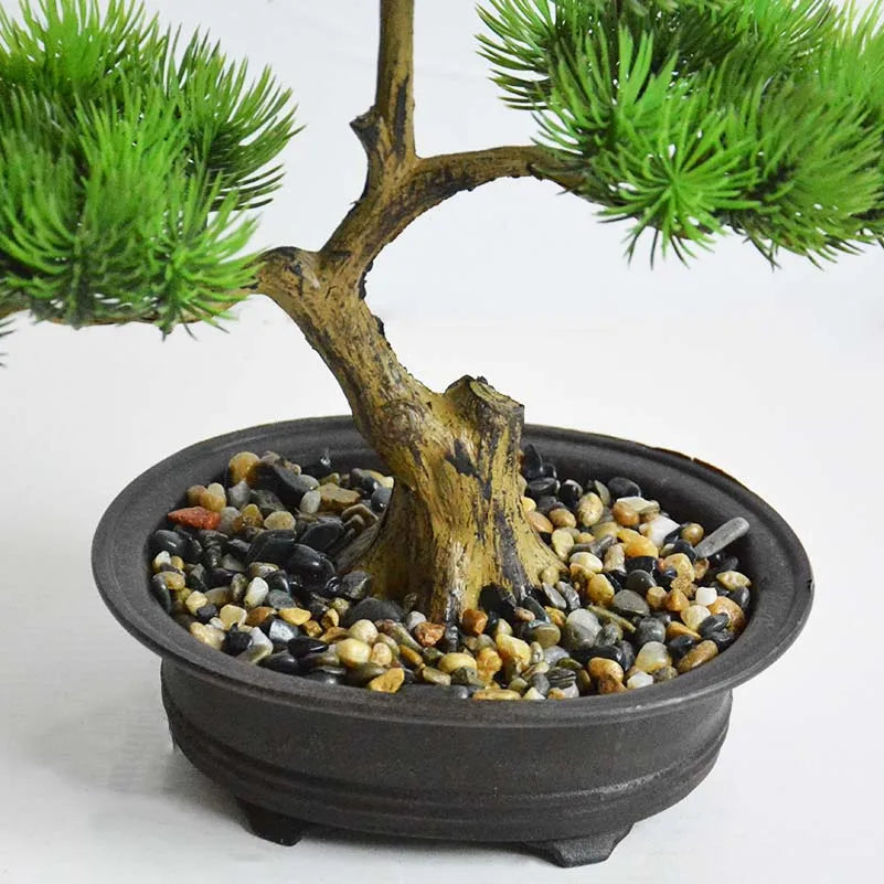 plante en pot de style chinois pour décoration intérieure - vue 3 sur 6