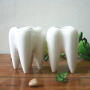 porte-brosse à dents en céramique en forme de dent créative et décorative