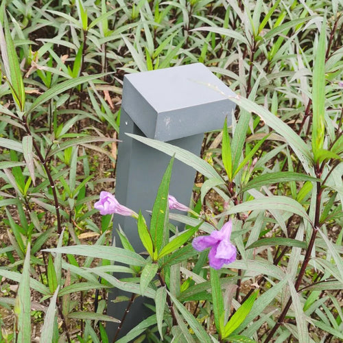 éclairage extérieur à LED pour jardin et paysage - vue 7 sur 6