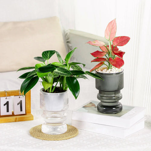 pot de fleurs hydroponique avec arrosage automatique décoration jardin - vue 2 sur 15