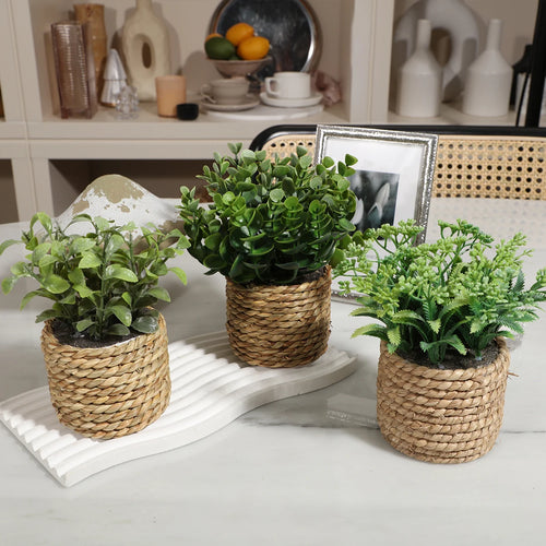 plantes artificielles fleurs eucalyptus décoratives en pot 17 cm - vue 7 sur 9