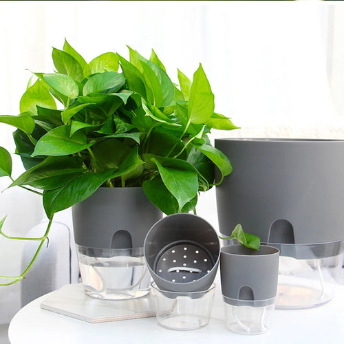 pot de fleurs en plastique avec arrosage automatique et corde absorbante - vue 2 sur 8