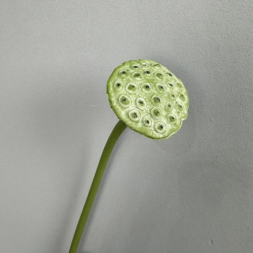 plantes artificielles lotus touché réel décoration florale pour intérieur - vue 2 sur 8