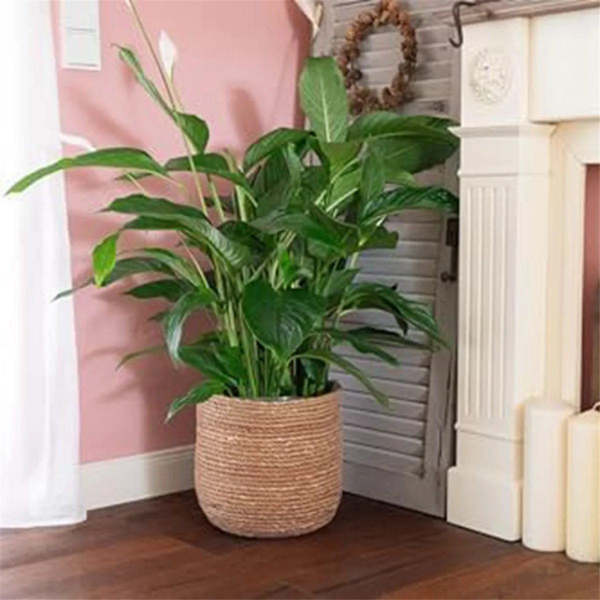 pot de fleurs tissé en jonc de mer style bohème décoratif - vue 6 sur 7