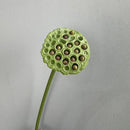 plantes artificielles lotus touché réel décoration florale pour intérieur