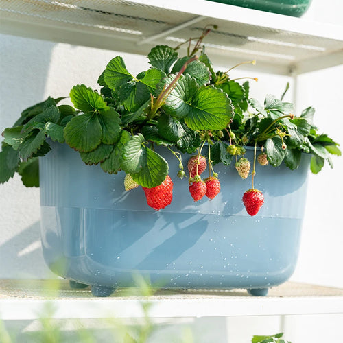 pot de légumes en plastique pour balcon paresseux et jardinage vertical - vue 3 sur 9