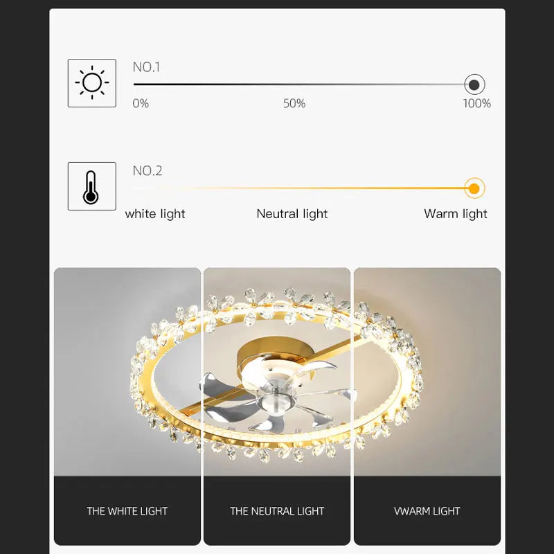 ventilateur de plafond moderne avec lumière et contrôle intelligent - vue 4 sur 10