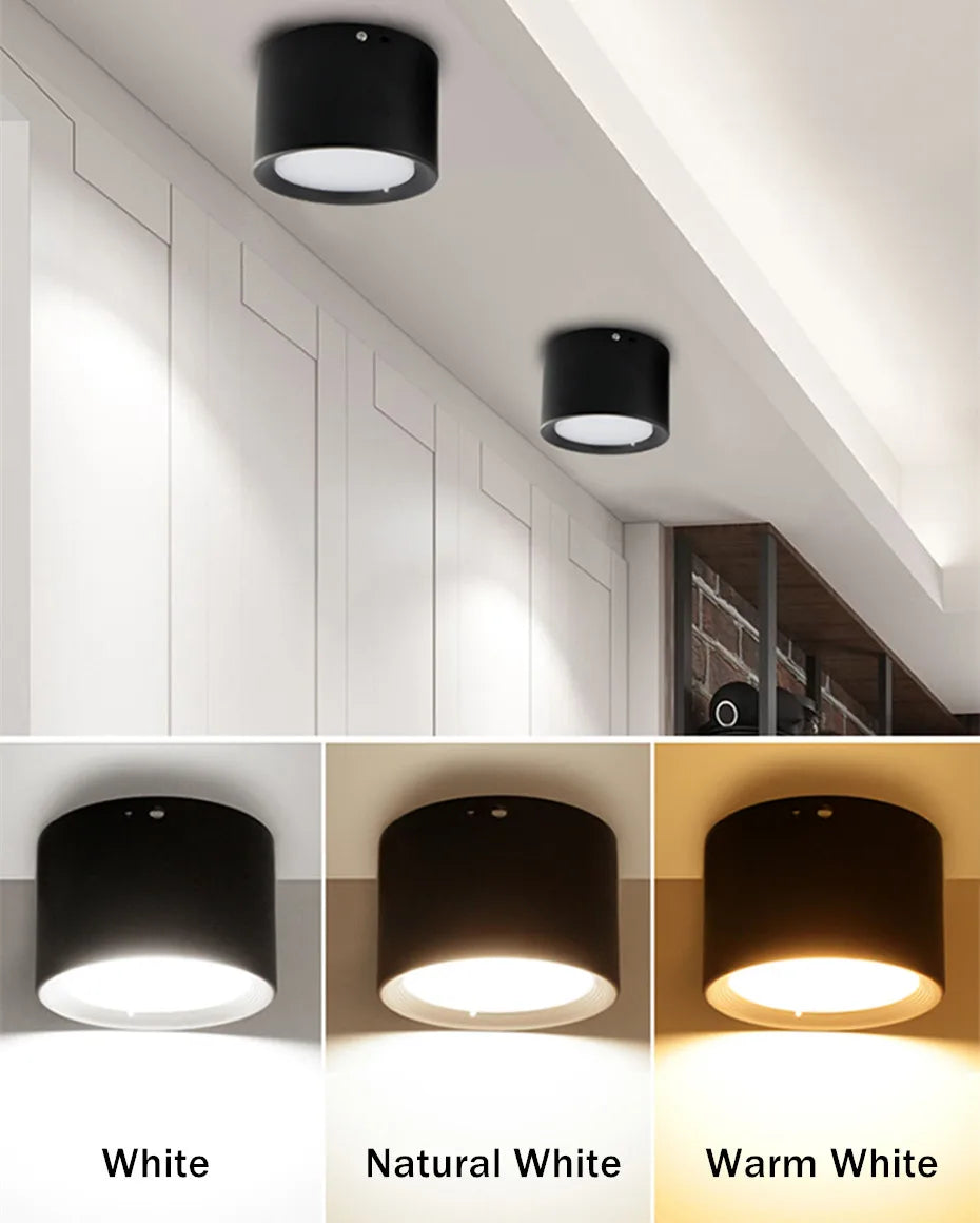 Mini LED plafonniers Dimmable Grain de bois Surface monté Downlight maison chambre décor Spot pour salon 220V 110V - vue 4 sur 11