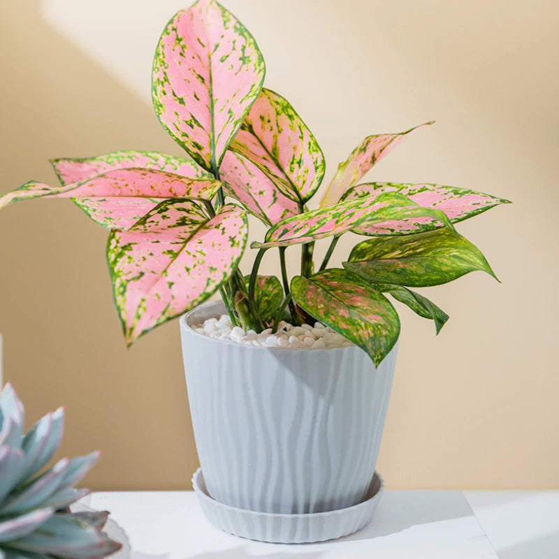 pot de fleurs haut simple à ondulations en plastique multicolore - vue 4 sur 8