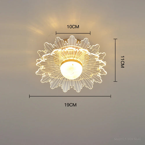 plafonnier led moderne nordique pour intérieur et balcon - vue 9 sur 13