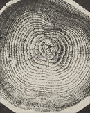 art abstrait sur toile anneaux des arbres décoration moderne