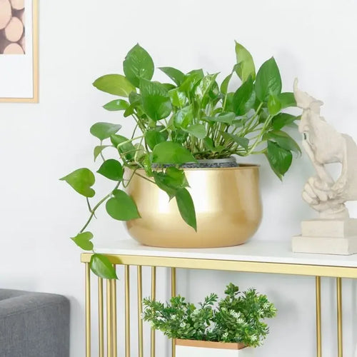 pot de fleurs rond en métal doré pour plantes et décorations - vue 3 sur 8