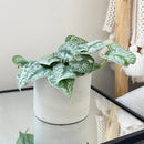 moules en silicone pour pots de fleurs et rangement