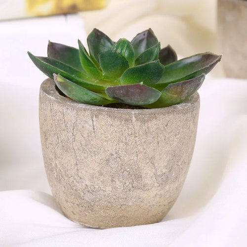 plantes succulentes artificielles pour décoration intérieure moderne - vue 13 sur 13