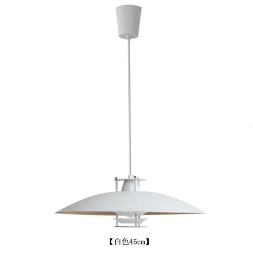 Nordic Circular Pendant Light, Modern Dining Room, Bedroom, Bar Counter, LED Pendant Light, White Warm Light 45cm Light