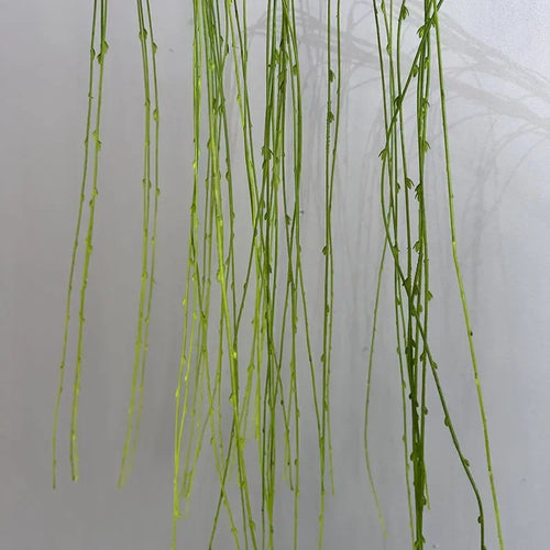 plantes artificielles saule pleureur en plastique pour décoration intérieure - vue 7 sur 7