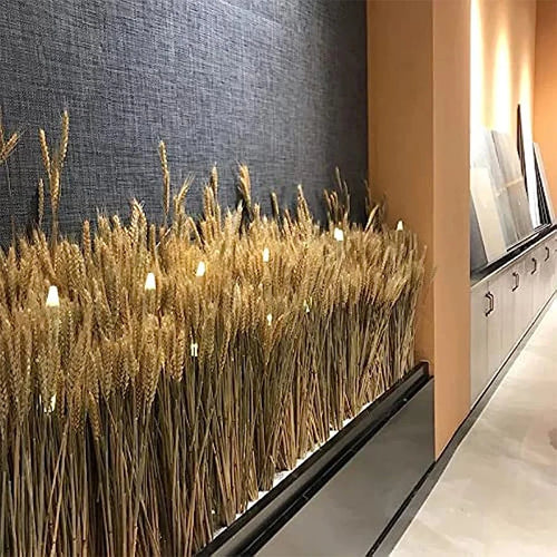 tiges de blé séchées naturelles pour décoration de fête et bouquet - vue 2 sur 6