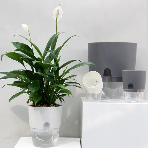 pot de fleurs auto-arrosant en plastique pour plantes succulentes - vue 2 sur 14