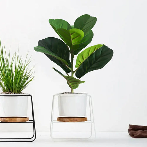 plantes artificielles ficus banyan pour décoration intérieure et extérieure - vue 2 sur 6